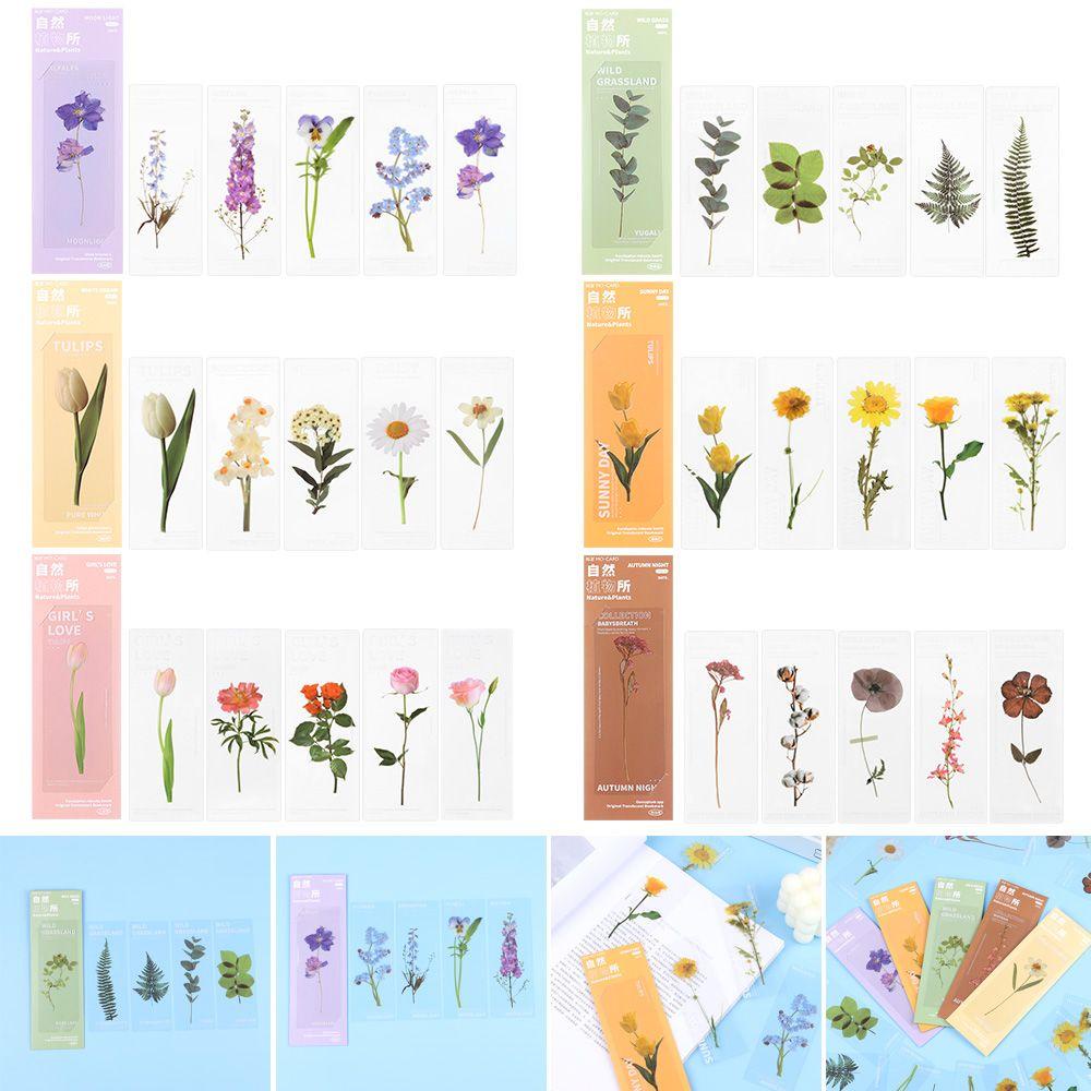 PISTA Set 5 Thẻ Đánh Dấu Trang Sách Hình Cây Tự Nhiên