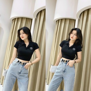 Áo croptop cổ bẻ