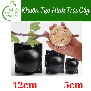 Bầu chiết cành, dụng cụ chiết cành chuyên dụng, hộp ươm cắt ghép chiết cành tạo mầm cây