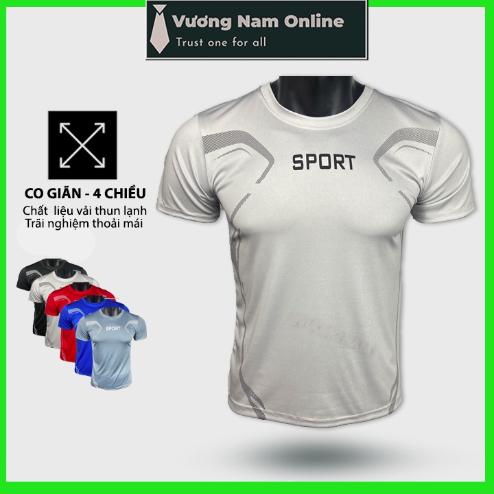 Áo thể thao nam SPORT ngắn tay cổ tròn đẹp vải thun lạnh cao cấp VN96B | BigBuy360 - bigbuy360.vn