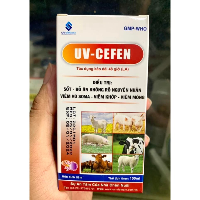 [DT] Uv- CEFEN 100ml dành cho heo gà vịt