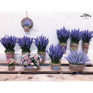 Chậu hoa Lavender Vintage Số 51