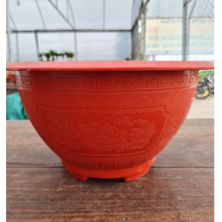 Combo 5 chậu t48 trồng cây kt miệng 48x cao 23cm