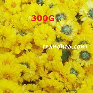 300TRÀ HOA CÚC VÀNG HẢO HẠNG