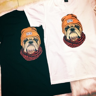 Áo chó pug nón len
