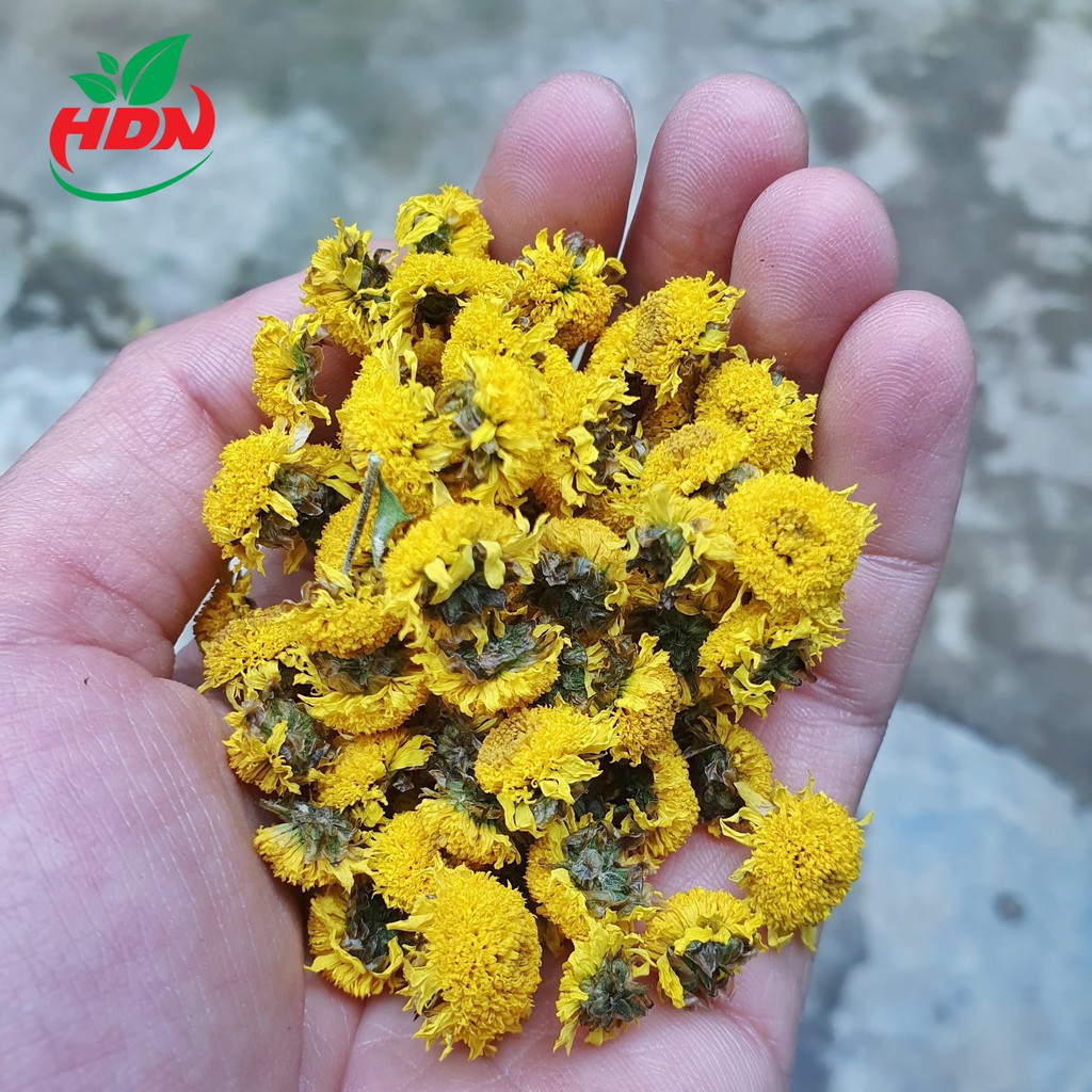 Cúc Chi Sấy HDN Trà Hoa Cúc Vàng Sấy Khô Nguyên Bông Hàng Sấy Điện Túi Zip 100gr