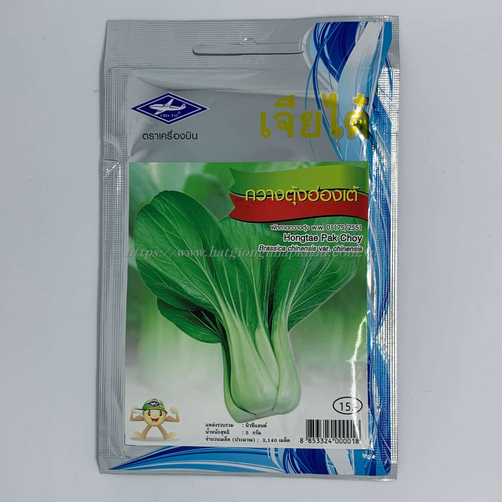 Hạt giống cải thìa khổng lồ Thái Lan. 2000 hạt/gói