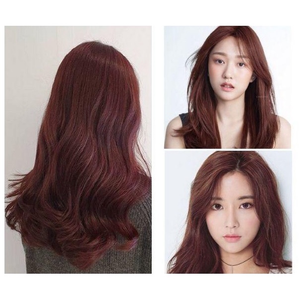 Thuốc Nhuộm Tóc Màu Nâu Đỏ Trầm 6/66 Dark Red Blonde / Brown Hair Dye Cream