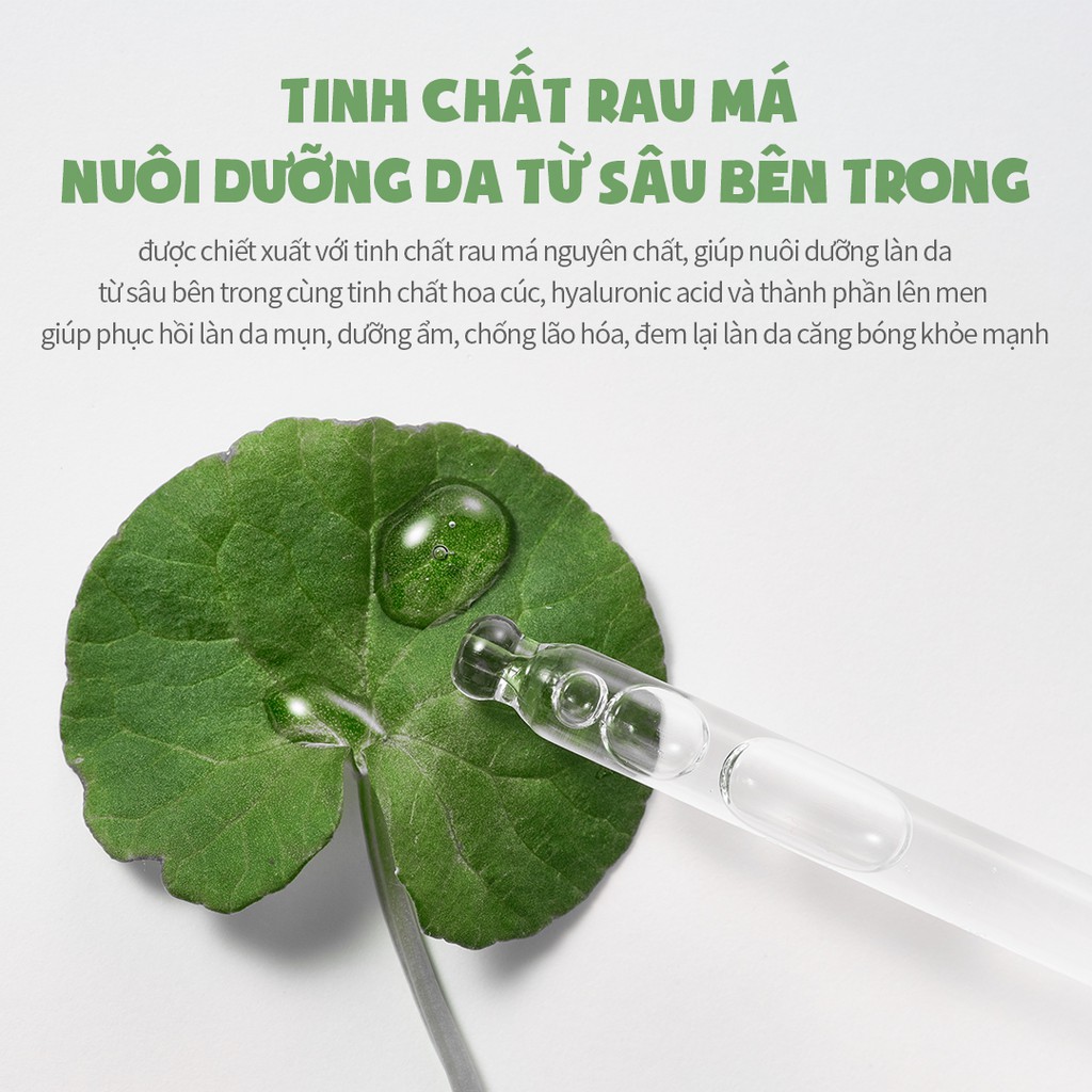 Tinh chất beplain Rau Má Cicaful thế hệ I (chứa thành phần gạo lên men) 50ml