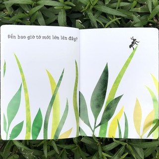 Ehon Accototo - Nếu Tớ Lớn Lên Thì Sao?