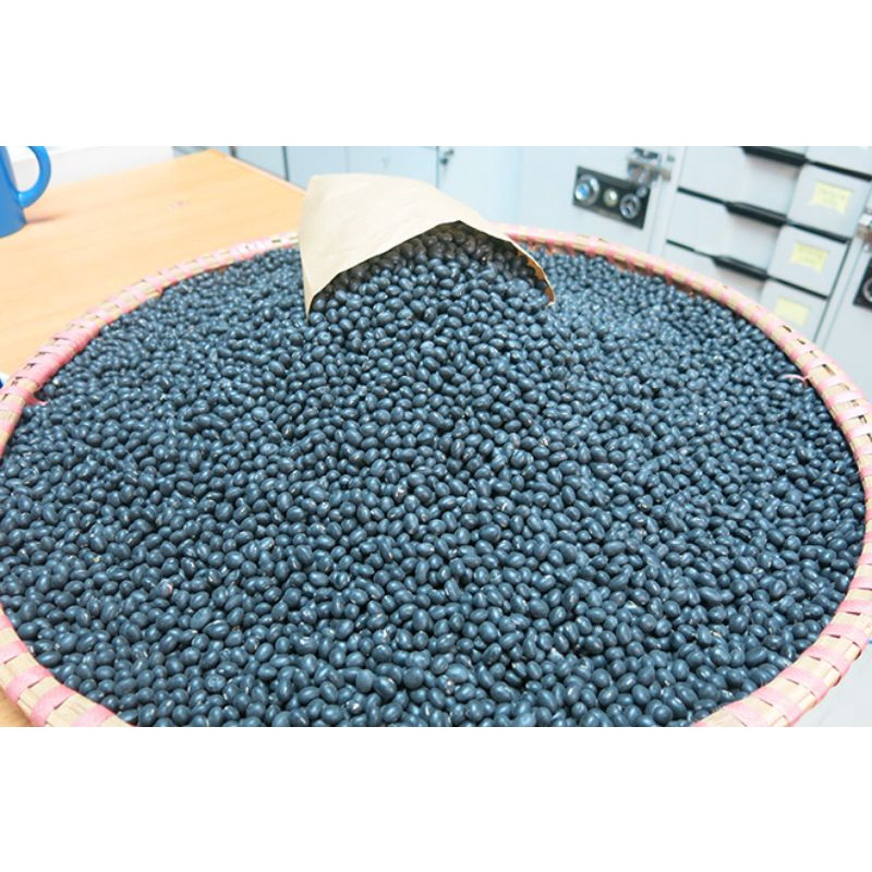 Đậu tương/đậu nành đen (black soybean) ngon sạch, bổ dưỡng