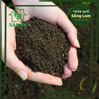 Phân bón hữu cơ cho sen đá và xương rồng