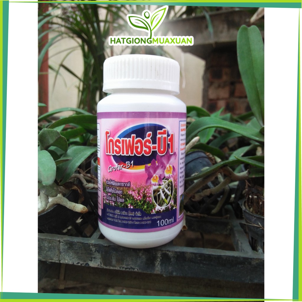 [SIEURE] B1 Grofer THÁI LAN 100ML hàng đẹp, phân phối chuyên nghiệp.