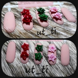 Hồng mini