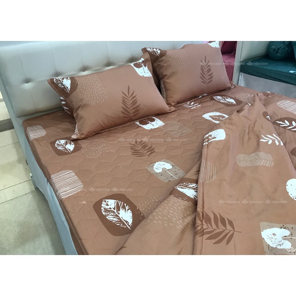 Bộ ga gối Sông Hồng Basic cotton BC22062