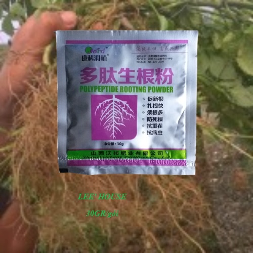 Sản phẩm siêu kích rễ, giâm cành, siêu kích mầm, dưỡng hoa
