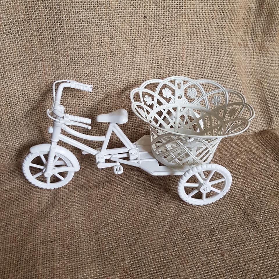 Xe đạp nhựa nhỏ ms22