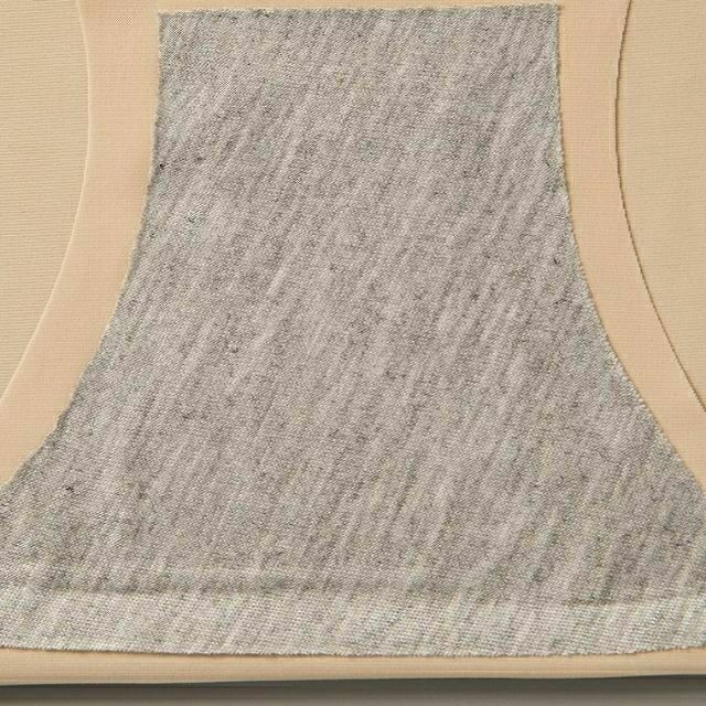 SET 10 QUẦN SU TRƠN ÉP LẠNH CO GIÃN MỀM MỊN KHÔNG ĐƯỜNG MAY HÀNG ĐẸP  BC_CHIC LINGERIE