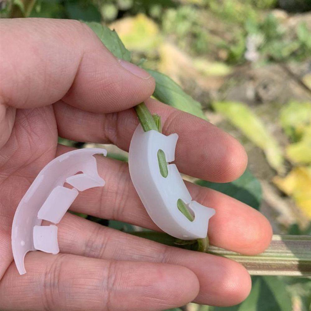 Set 100 Kẹp Cong 90 Độ Hỗ Trợ Trồng Cây Cà Chua Giá Đỡ