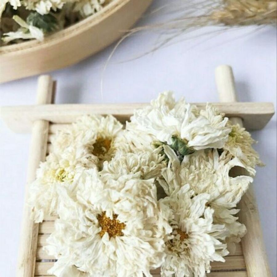 BẠCH CÚC-  trà hoa thảo mộc Đà Nẵng - Ato trà - TRÀ HOA CÚC TRẮNG GIÚP NGỦ NGON - AN THẦN