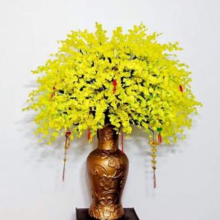 hoa vũ nữ vải. 27k/bó 10 cành