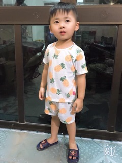 Set 5 bộ hoa quả cho bé yêu