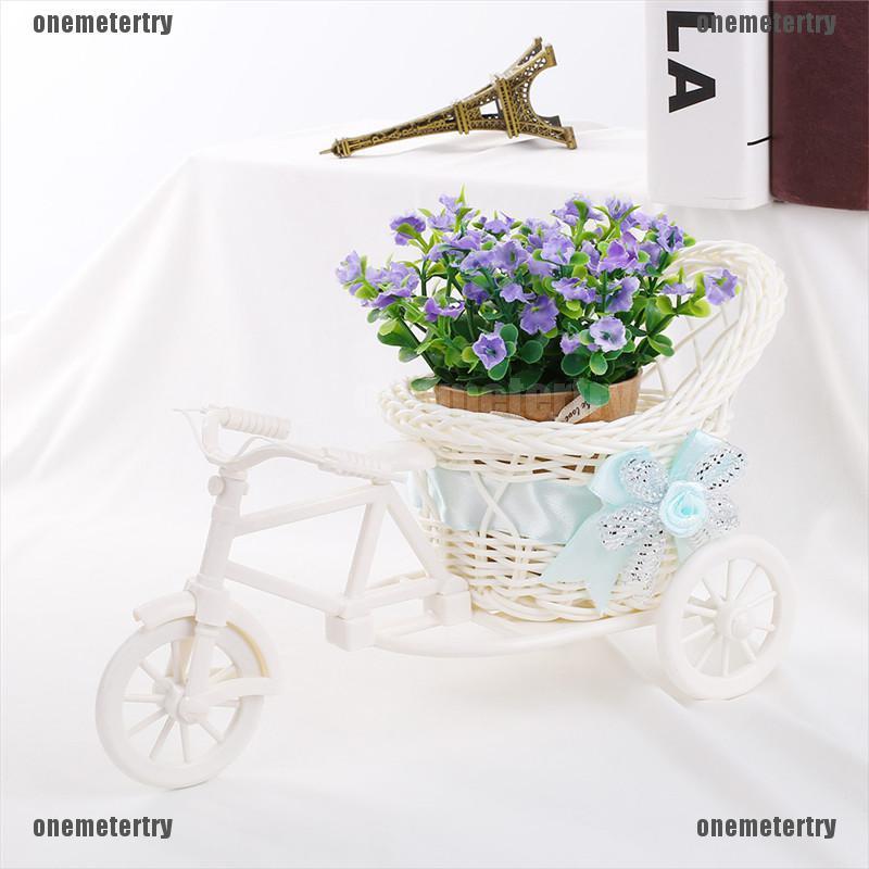Giỏ xe đạp màu trắng chở chậu hoa trang trí nhà cửa