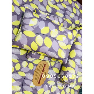 Bộ Drap 100%cotton Thắng Lợi (có chăn)