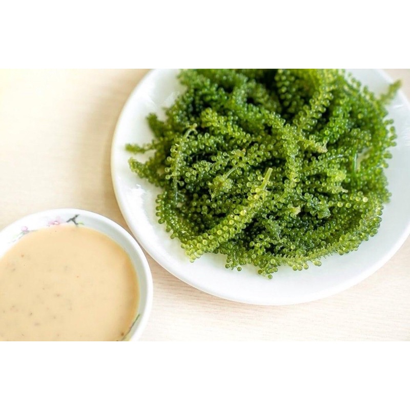 [NGON RẺ] 100gram Rong nho tách nước Monino | BigBuy360 - bigbuy360.vn