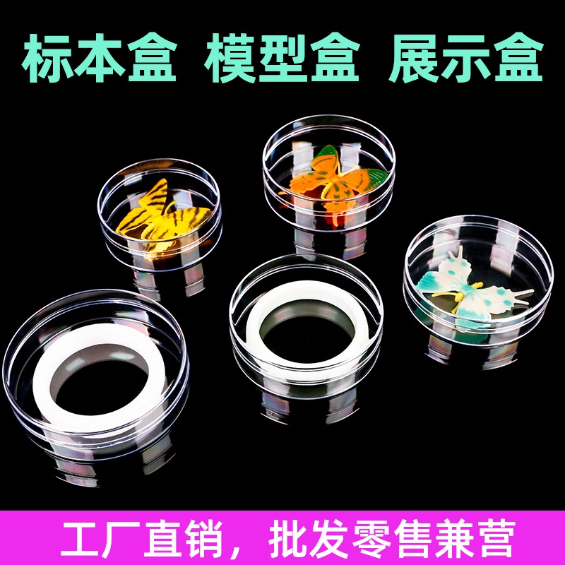 Hộp Tròn Mini Bằng Nhựa Acrylic Trong Suốt Đựng Trang Sức Để Bàn Có Nắp Đậy Tiện Lợi