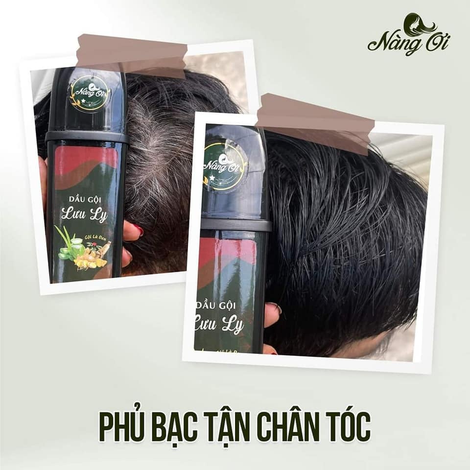 Dầu Gội Phủ Bạc Nhuộm Tóc Tự Nhiên Thảo Dược Lưu Ly Nàng Ơi - Tặng Dầu Gội Hà Thủ Ô Chính Hãng