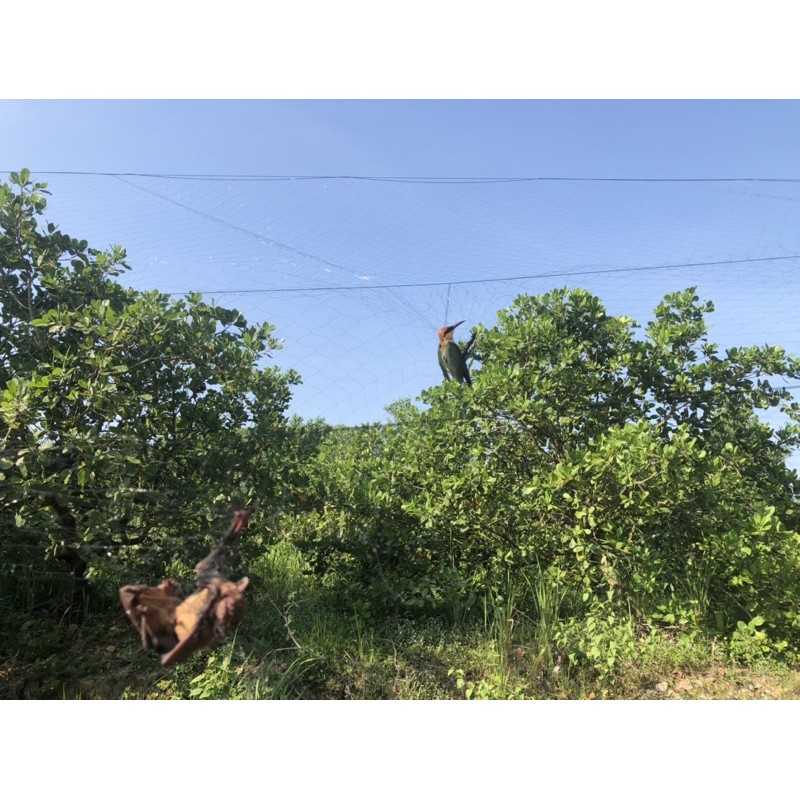 60m lưới tàng hình mắt 7 phân.5 viền 4 túi