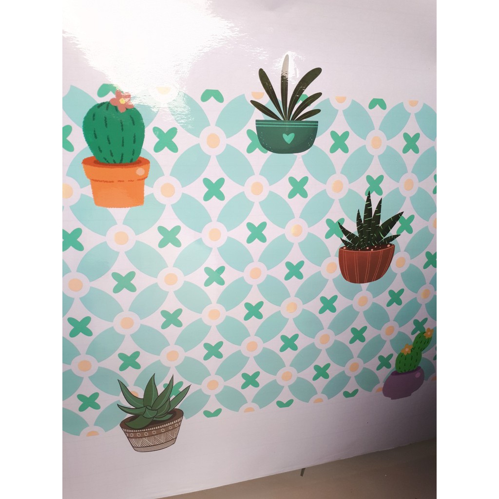 Decal dán bếp tráng nhôm cách nhiệt mẫu hoa xương rồng nền trong suốt  khổ 60cm keo sẵn