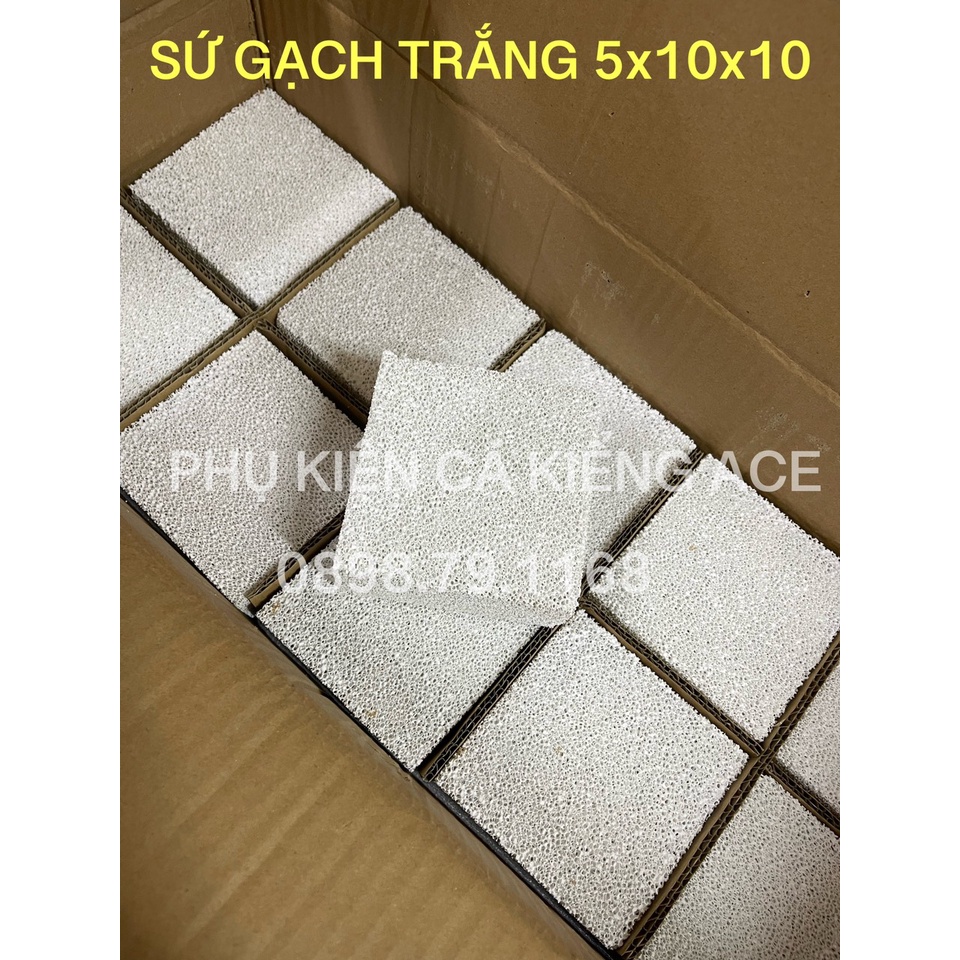Sứ Vuông Tàu Hủ Lọc Nước Hồ Cá 10*10*5cm