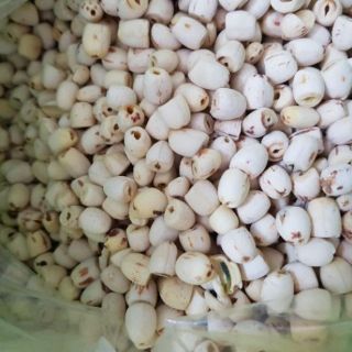 Hạt Sen Khô Đồng Tháp 500gr