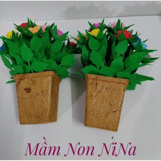 Chậu hoa hồng 15 bông