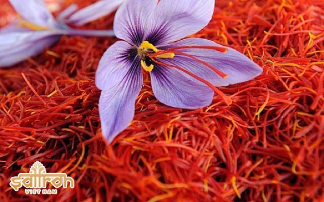 NHỊ HOA NGHỆ TÂY SAFFRON BAHRAMAN LOẠI 1 SUPER NEGIN