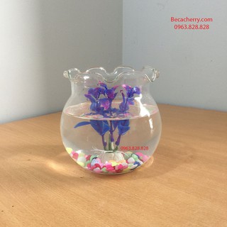 Bình thủy tinh bèo size 15 cm