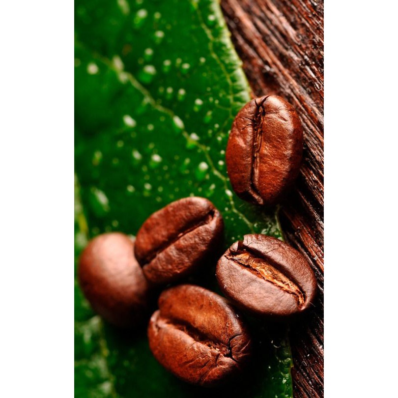 Dầu Cà Phê Robusta- Robusta Coffee Absolute