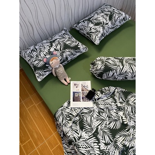 Bộ drap thun siêu lạnh latico bản cao cấp giá hấp