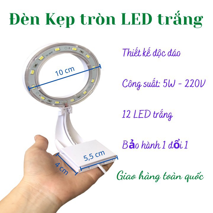 Bể cá mini để bàn kèm phụ kiện tiểu cảnh có hồ lọc đèn