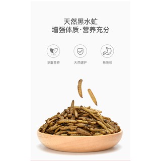 wax worm ( sâu sữa /sáp ) sấy khô cho hamster/sóc/chim