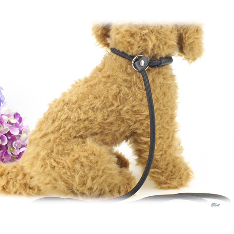 Dây dắt thú cưng đi dạo chất liệu nylon cotton