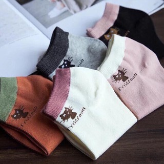Combo 5 đôi tất nữ cotton hình mèo nhỏ