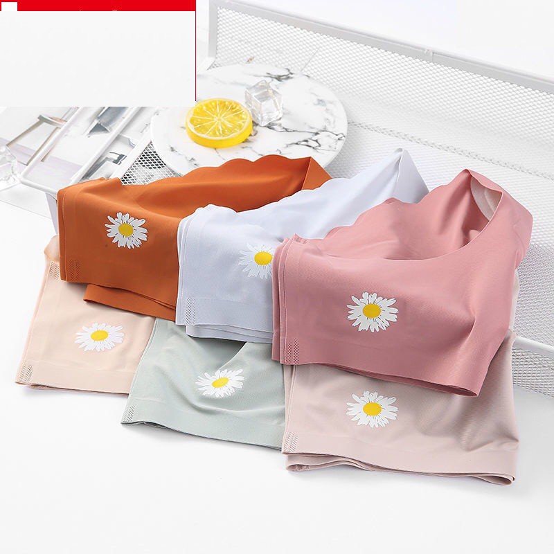 ĐƯỢC MUA 10 Quần lót su viền lượn sóng hoa cúc Mẫu mới 2020 | BigBuy360 - bigbuy360.vn