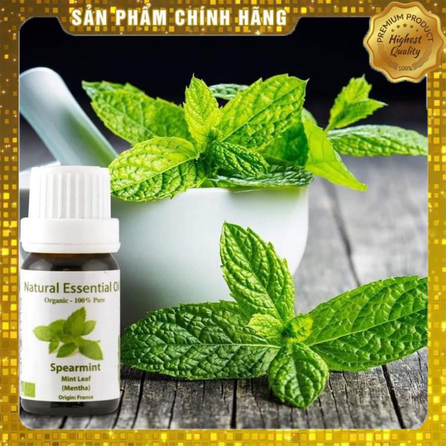 Túi đựng Tinh dầu Bạc Hà