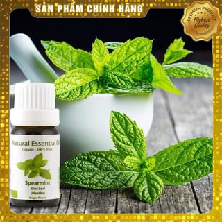 Túi đựng Tinh dầu Bạc Hà