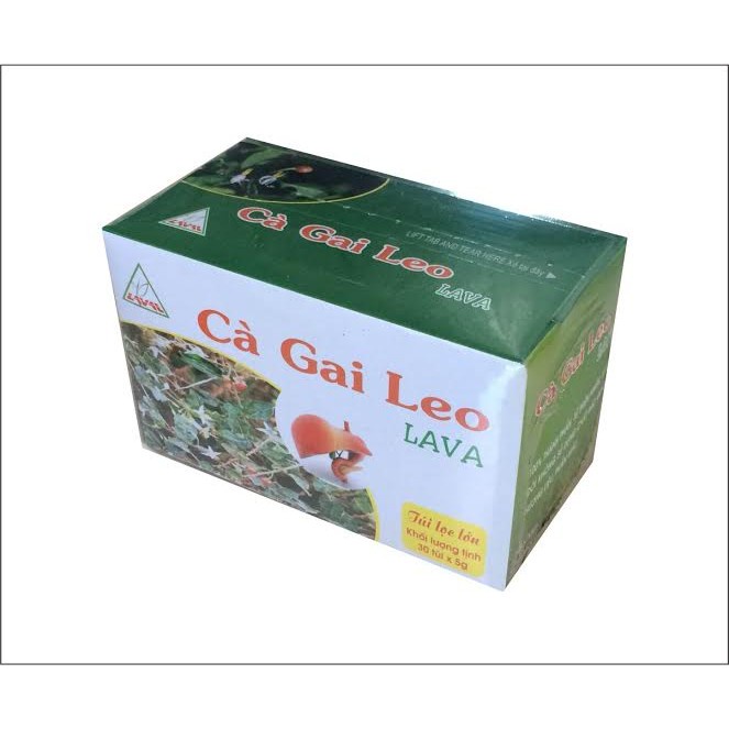 Trà Cà Gai Leo Lava- Hỗ trợ các vấn đề về Gan