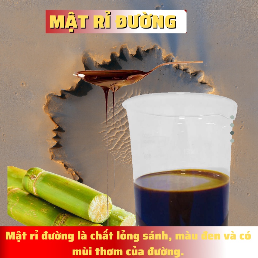 MẬT RỈ ĐƯỜNG Nhân Sinh Khối, Ủ Phân Hữu Cơ