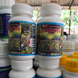 Thuốc chống thối nhũn cho Lan xuất sứ Thái Lan